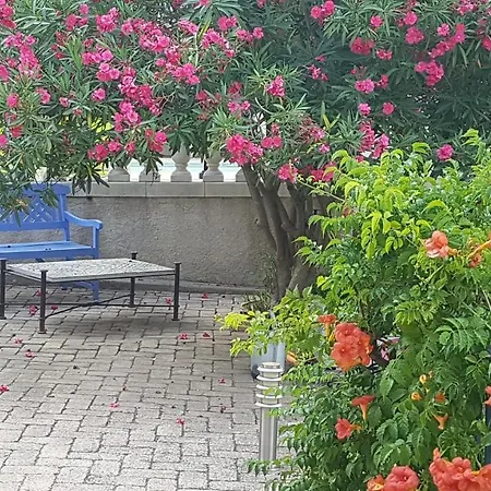 Bed & Breakfast Des Hibiscus Trans-en-Provence