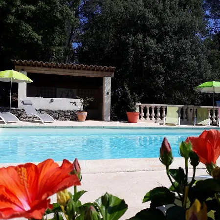 Des Hibiscus * Trans-en-Provence